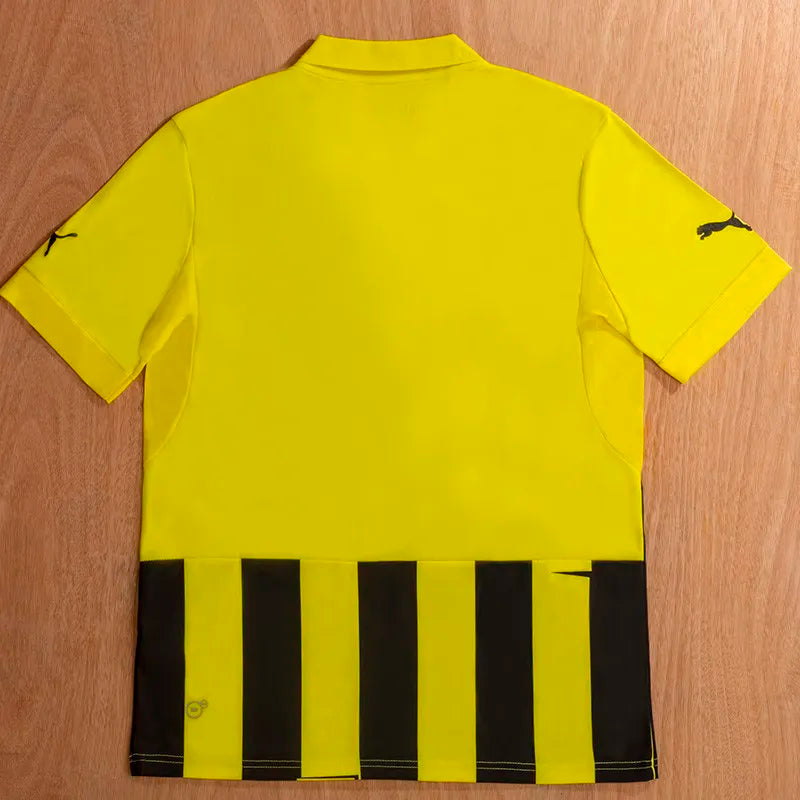BVB 2